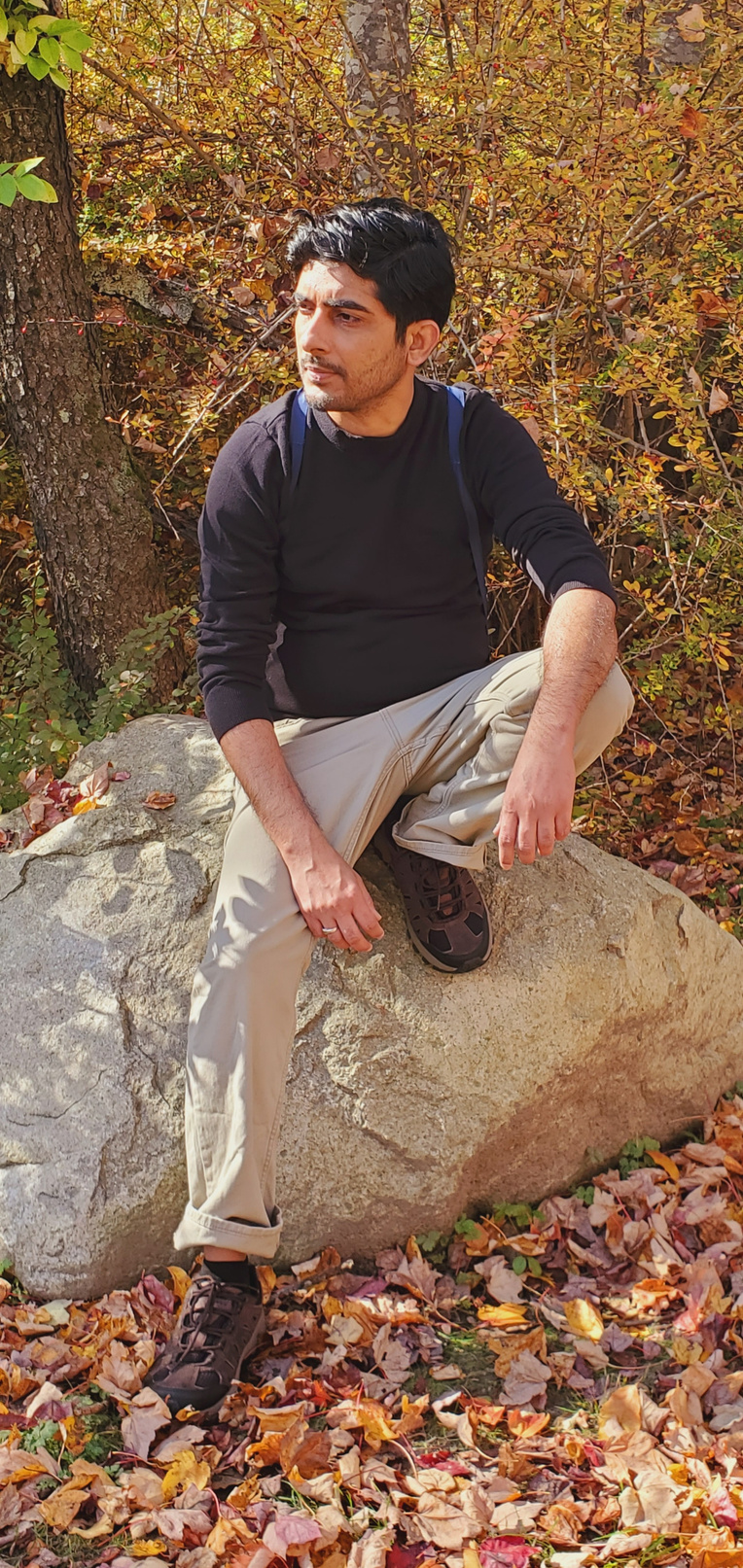 most handsome man of naperville illinois rahul t